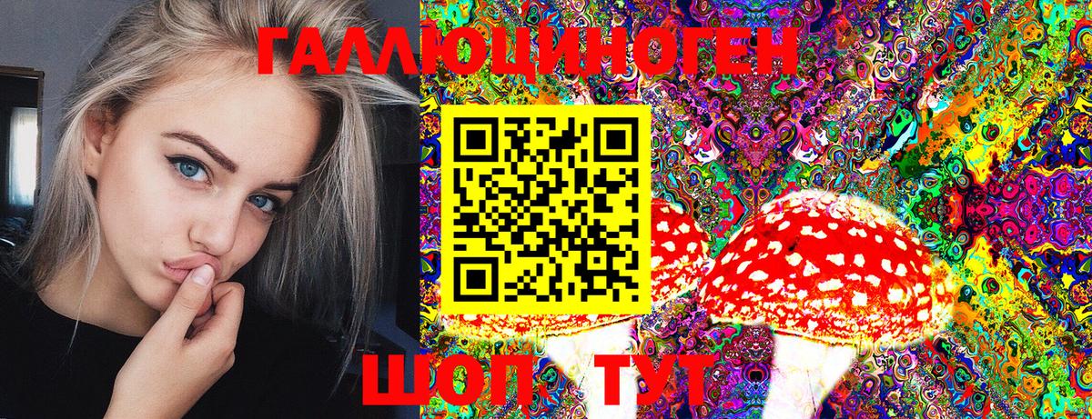 Берёзовский  цены наркотик  Вход с VPN  Галлюциногенные грибы Psilocybine cubensis  Галлюциногенные грибы мухоморы 